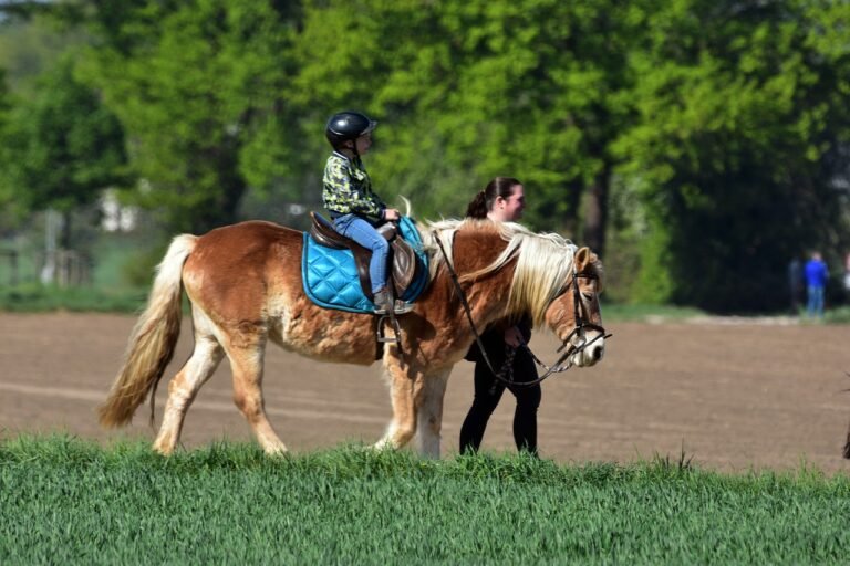 pony, horseback riding, child-7159023.jpg